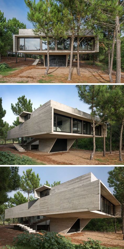 This Argentinian House Is Made Almost Entirely Of Concrete Formed Concrete, Wood Minimalist, Board Formed Concrete, Concrete Houses, Concrete Architecture, Minimal Architecture, Wood Architecture, Concrete House, Hus Inspiration