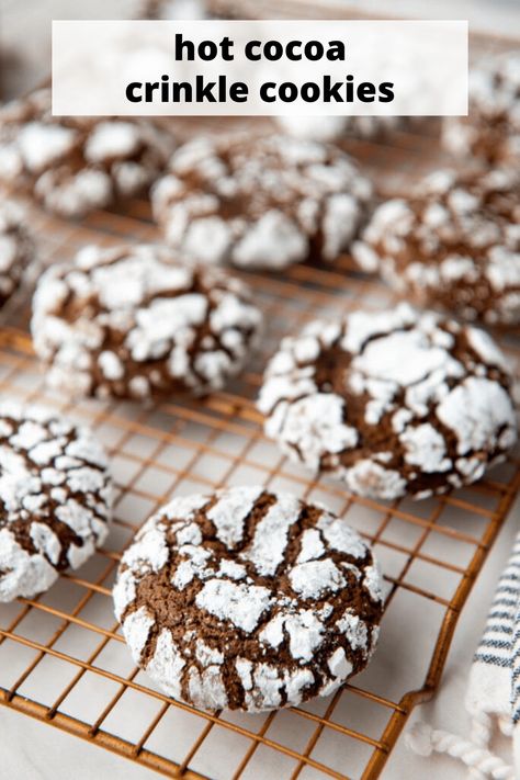 Hot Cocoa Crinkle Cookies melt in your mouth with the rich, chocolatey flavors of hot cocoa and a light dusting of sweet powdered sugar. The perfect chocolate cookie! They won't last long! #hotcocoachocolatecrinklecookies #chocolatecrinklecookies #crinklecookies. #Christmascookies #Christmascookies #Christmascookieexchange #Christmascookierecipe #holidaybaking #holidayrecipes #baking #easyrecipes #goodcookierecipes #comfortfood #comfortfoodideas Fudgy Chocolate Crinkle Cookies, Ginger Crinkle Cookies, Comfort Food Ideas, Chocolate Crinkle, Mocha Chocolate, Hot Chocolate Cookies, Chocolate Crinkle Cookies, Cocoa Cookies, Chocolate Crinkles