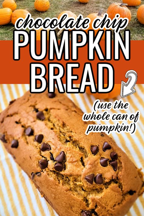 pumpkin chocolate chip bread, pumpkin chocolate chip bread recipe, easy pumpkin chocolate chip bread, pumpkin chocolate chip bread moist, bread recipes sweet, pumpkin bread, pumpkin bread recipes, chocolate chip pumpkin bread, chocolate chip pumpkin bread recipes, moist bread recipe, fall bread recipes, pumpkin loaf Pumpkin Bread Chocolate, Pumpkin Bread Moist, Chocolate Chip Bread Recipe, Fall Bread Recipes, Bread Pumpkin, Bread Chocolate, Pumpkin Bread Easy, Pumpkin Loaf, Chocolate Chip Bread