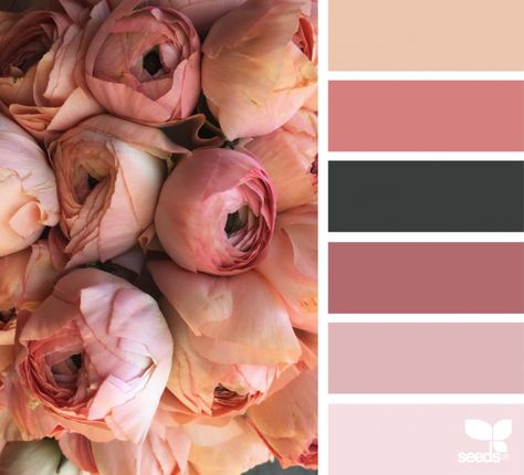 Color Flora | Design Seeds | Bloglovin’ Dusty Rose Color Palette, Rose Color Palette, Design Seeds Color Palette, Seeds Color Palette, Seeds Color, Bedroom Pink, Flora Design, Paint Design, Dusty Rose Color