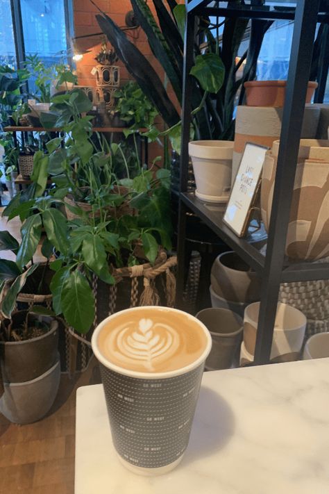 Best Seattle Coffee Shops (and more) - Coffee Colloquy Ukrainian Restaurant, Seattle Coffee Shops, Almond Milk Latte, Seattle Coffee, Nutella Crepes, Crepes And Waffles, Gardening Gear, Glass Museum, Vanilla Almond Milk