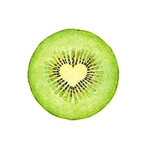 Kiwi Fruit Tattoo, Kiwi Fruit Drawing, Kiwi Illustration, Green Ios, Lilies Drawing, Fruit Tattoo, Harry Styles Tattoos, Cat Hotel, Fruits Drawing