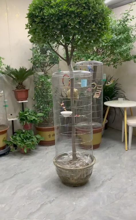 Bird Cages Diy, Birds Cage Ideas Outdoor, Mini Tree House, Bird Enclosure, Birdcage Ideas, Parrot Habitat, Bird Cage Ideas, Diy Bird Cage, Pet Bird Cage