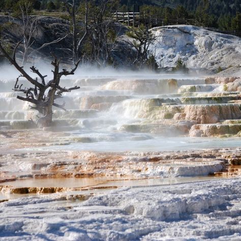 Mammoth Hot Springs, Stone Park, Spring Images, National Park Photos, Stone Mountain, Website Backgrounds, Park Photos, Yellow Stone, Nike Fashion