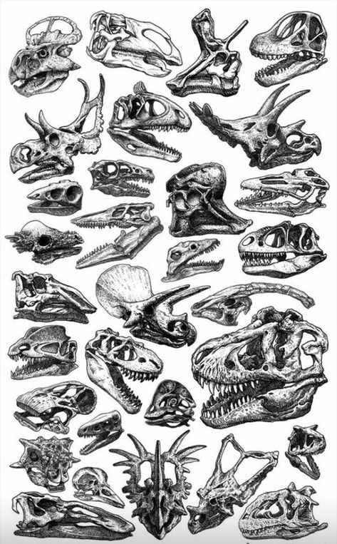 Animal Skull Wallpaper, Skull Wallpapers, Armband Tattoos, Dark And Mysterious, Animal Skull, Skull Wallpaper, Celebrity Tattoos, Armband Tattoo, Dinosaurs