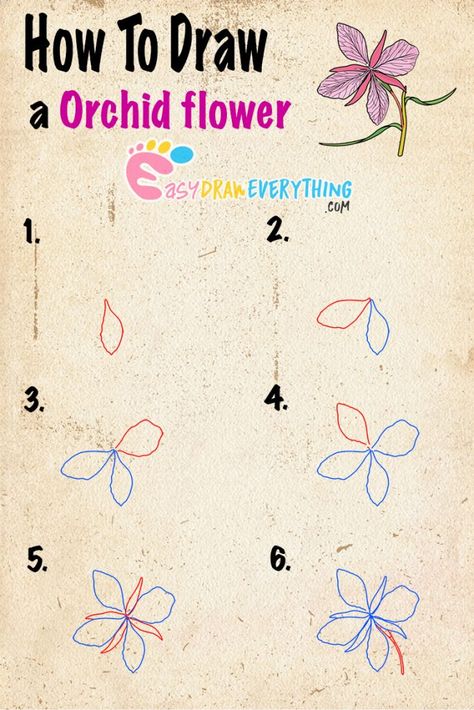 How To Draw An Orchid Step By Step, How To Draw Orchids, Orchid Drawing Simple, Orchid Flower Drawing, Orchids Care, Orchid Drawing, Simple Flower Drawing, Ipad Homescreen, Easy Flower Drawings