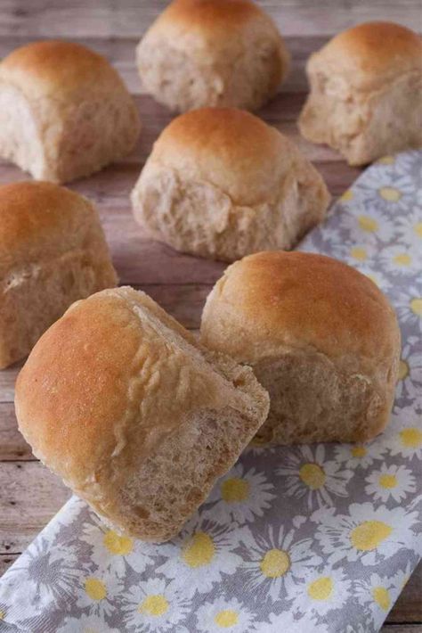 Whole Wheat Dinner Rolls Recipe, Wheat Dinner Rolls Recipe, Dinner Rolls Recipe Easy, Whole Wheat Dinner Rolls, Wheat Dinner Rolls, Oatmeal Dinner, Wheat Rolls, Dinner Roll Recipe, Rolls Recipe Easy