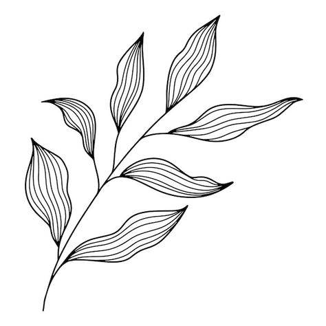 Flower Branches Drawing, Vector Leaf Pattern, Tropical Leaves Line Art, Botanical Leaf Illustration, Leaf Pattern Drawing, Plant Line Illustration, Tropical Line Drawing, Leaf Branch Drawing, Leaves Drawing Sketches