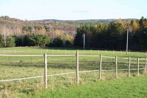 When you keep horses they need a lot of space and making a paddock by fencing a large area is not exactly cheap. It is also usually time consuming. Electric fencing provides a reasonable cost answer. Diy Horse Fencing, Paddock Fencing, Build A Gate, Building A Gate, Gates Driveway, Pasture Fencing, Electric Fencing, Horse Paddock, Wooden Gates Driveway