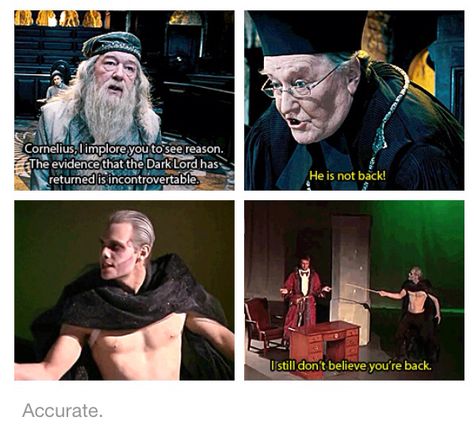 A Very Potter Musical, Potter Puppet Pals, Lemon Sherbet, Harry Otter, Musicals Funny, Very Potter Musical, Team Starkid, Hp Harry Potter, Media Quotes