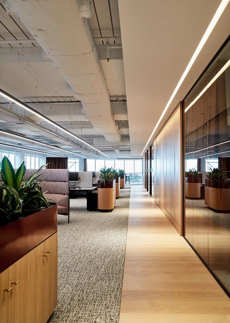 L’Oréal Workplace by Travis Walton Architecture | Australian Interior Design Awards Corridor Office Design, Open Concept Office, Commercial Office Design, Corporate Interior Design, Australian Interior, Corridor Design, Corporate Office Design, Australian Interior Design, Interior Design Awards