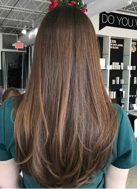 Long Layers Brunette Straight, Haircuts Layers Straight Hair, Subtle Layers With Curtain Bangs, Long Straight Hair Long Layers, Noticeable Layers Hair, Hair Medium Long Length, Haircuts For Medium Hair No Layers, Subtle Layers For Long Hair, No Layered Haircut