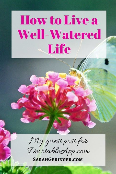 Learn what Psalm 1 tells us about living a well-watered life for God's glory. #biblestudy #psalms #psalm1 #spiritualgrowth #proverbs31woman #livingfreetogether Well Watered Women, Growing Spiritually, Church Fellowship, Christian Meditation, Soul Care, God's Glory, Psalm 1, Book Of Psalms, Inspirational Verses