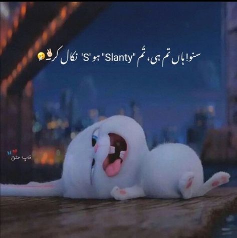 Eid Jokes, Best Birthday Wishes Quotes, Pakistani Flag, Last Exam, Exams Funny, Instagram Poetry, Crazy Girl Quote, Funny Quotes In Urdu, Exam Quotes Funny