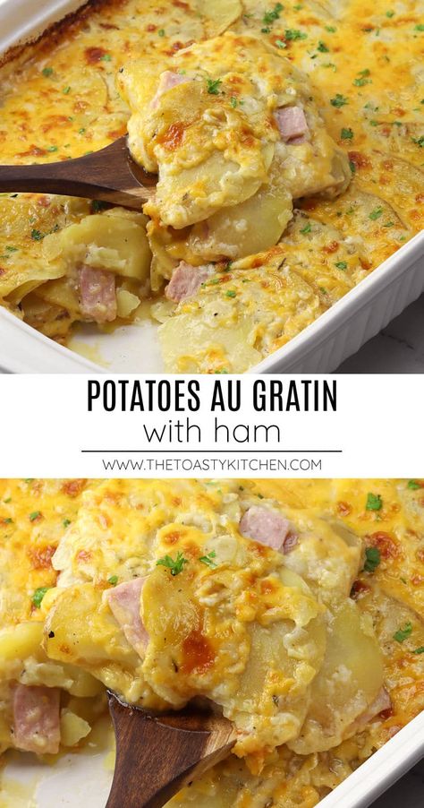 Potatoes au gratin with ham recipe by The Toasty Kitchen. Potatoes au gratin with ham is a cheesy potato casserole layered with diced ham. It's the perfect main course for your next family meal or for using up that leftover holiday ham! #potatoesaugratin #ham #pork #leftoverham #entree #dinnerideas #familymeal #holidaydinner #easter #christmas #casserole #recipe Au Gratin Potatoes With Ham, Au Gratin Potatoes Easy, Christmas Casserole, Spiral Sliced Ham, Hotdish Recipes, Au Gratin Potato Recipes, Au Gratin Recipes, Cheesy Potato Casserole, Ham Potato