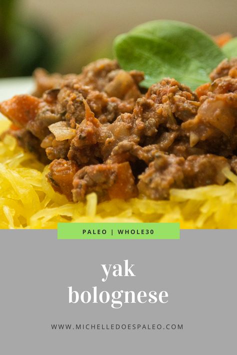 Yak Bolognese - Well by Michelle Ground Yak Recipes, Yak Recipe, Drive My Car, Soy Chicken, Happy February, Mashed Cauliflower, Eat Meat, Mashed Sweet Potatoes, Himalayan Pink Salt