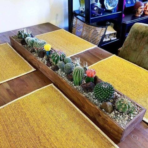 Pinterest Plant, Mini Cactus Garden, نباتات منزلية, Tafel Decor, Wooden Planter, Mini Cactus, Cactus Decor, Indoor Gardens, House Plants Decor