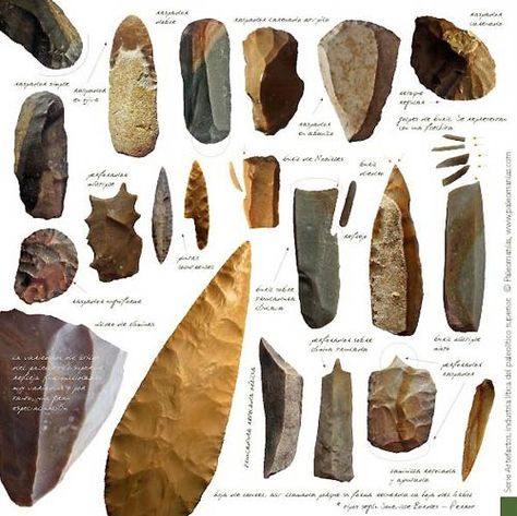 Artifact Hunting, Ancient Artifacts Prehistoric, Types Of Rocks, Stone Age Art, Stone Age Tools, Paleo Indians, Native American Tools, Indian Tools, Arrow Heads