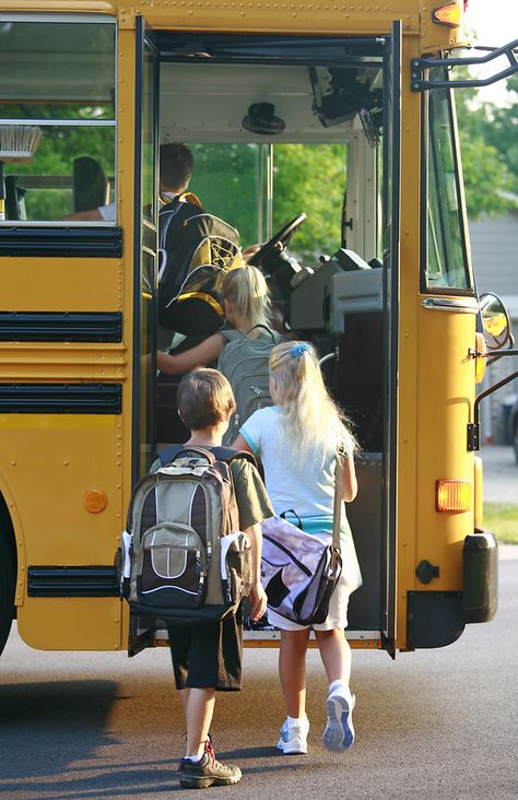 Training in the IEP for School Bus Drivers / Attendants | Are school bus drivers and bus aides who transport special needs children required to have training? Are they required to know the disability and be able to accommodate that disability? The need for training and support applies to all school personnel, including bus drivers and school bus aides. Bus Sekolah, Bus Safety, Back To School Pictures, Bb King, School Safety, Back To School Hacks, School Bus Driver, School Survival, School Pictures