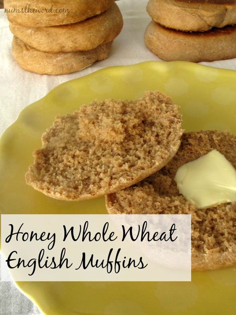 Honey Wheat English Muffin Recipe, Whole Wheat English Muffins, English Muffin Bread, Savory Breads, Yeast Breads, Honey Wheat, Muffin Bread, English Muffins, Baking Bread