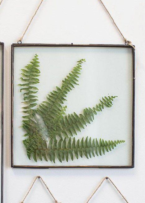 Hanging Metal Frame with Glass Insert | DIY Flower Wall | Afloral.com Pressed Botanicals, Diy Hanging Shelves, Framed Plants, Flowers Frame, Farmhouse Side Table, Winter Palace, Extra Bedroom, Geometric Terrarium, Cute Dorm Rooms