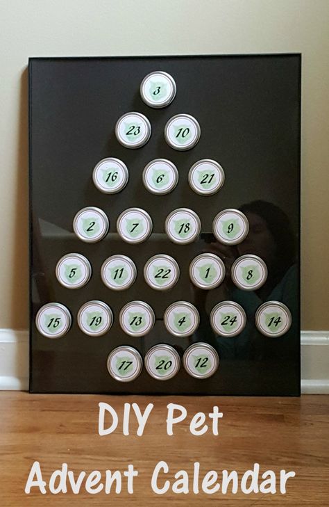 DIY pet advent calendar tutorial. Spoil your pets this Christmas with this make your own reusable advent calendar that features your pets with a free printable. #ToPetsWithLove AD Pet Advent Calendar, Diy Cat Treats, Dog Advent Calendar, Reusable Advent Calendar, Advent Calenders, Diy Advent Calendar, Animal Projects, Homemade Dog, Cat Diy