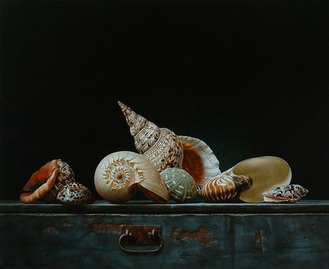 Roman Reisinger "Still Life With Shells 2" c.2000 | Roman Re… | Flickr Dutch Still Life, Albert Bierstadt, Dutch Masters, Edouard Manet, Painted Shells, Alphonse Mucha, Painting Still Life, Still Life Art, Shell Art