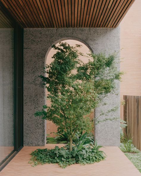 Glen Iris House by Pandolfini Architects - Issue 11 Video Feature - The Local Project - The Local Project Modern Outdoor Spaces, Street Trees, Internal Courtyard, Dappled Light, Landscape And Urbanism, Kayak Trip, Curved Staircase, The Local Project, Brick Facade