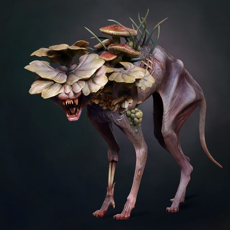 Mushroom Zombie Art, Mutant Animals Art, Fungal Monster, Fungi Monster, Mushroom Zombie, Mutant Creatures, Zombie Animals, Last Of Us Clicker, Zombie Concept