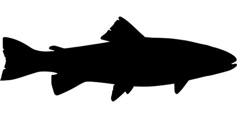 fish fishing trout - Free SVG Image & Icon. Trout Silhouette, Fishing Silhouette, Fish Stencil, Fish Outline, Fly Art, Fish Silhouette, Fishing Decals, Fish Crafts, Silhouette Clip Art