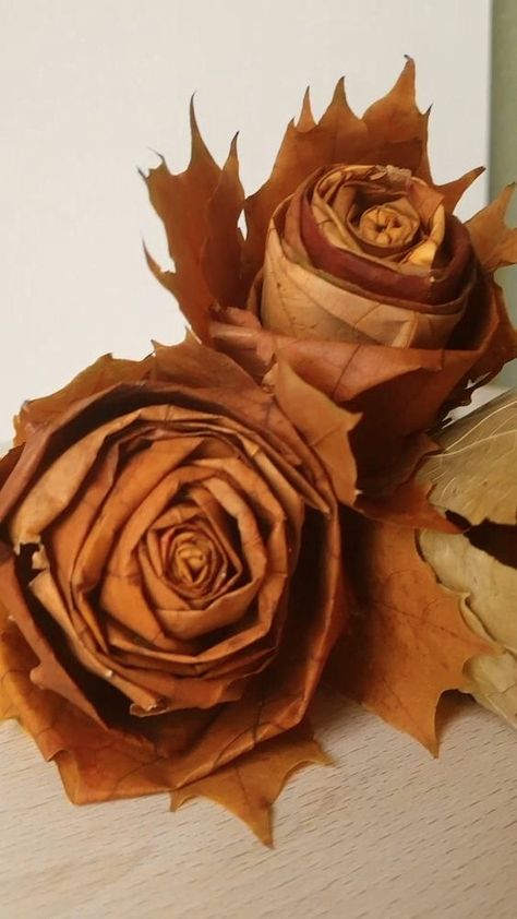 Leaf Roses, Leaves Craft, Autumn Leaves Craft, Diy Leaves, Deco Nature, Craft Kids, Leaf Crafts, Paper Flower Wall, Autumn Crafts