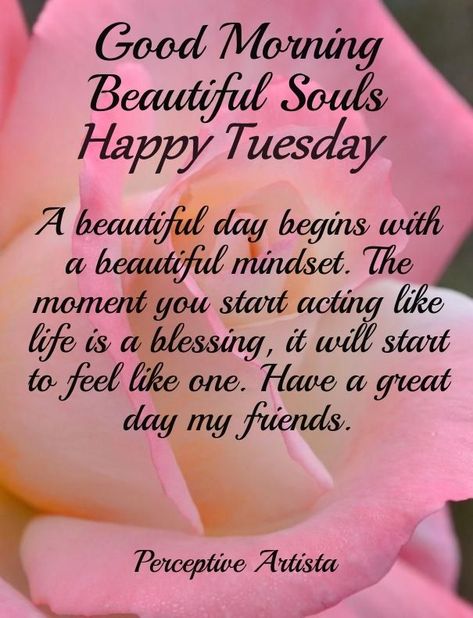 Good Morning Beautiful Souls Happy Tuesday Tuesday Quotes Good Morning, Tuesday Blessings, Good Morning Tuesday, Good Morning Love Messages, Good Morning Inspiration, Morning Greetings Quotes, Good Morning Texts, Morning Inspiration, Morning Blessings