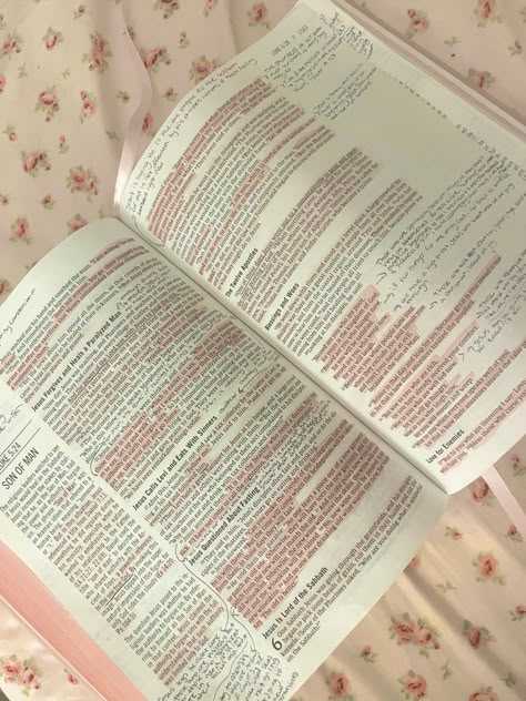 luke 5 & 6 bible study Pink Bible Study, Pink Bible, Spending Time With Loved Ones, Being In Nature, Journaling Ideas Drawings, 2025 Goals, Inspire Bible, School Goals, Bible Journaling Ideas Drawings