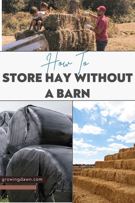 Outdoor Hay Storage Ideas, Hay Bale Storage Ideas, Hay Storage Ideas, Old Barn Restoration, Hay Box, Barn Restoration, Livestock Shelter, Hay Storage, Corn Crib