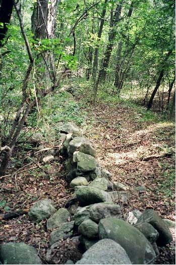 The Geology of Colonial New England Stone Walls New England Stone Walls, Colonial New England, Stone Fence, Dry Stone Wall, New England Travel, Dry Stone, Stone Walls, Old Stone, A Typical