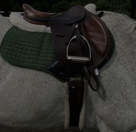 English Saddle Aesthetic, English Riding Aesthetic, Gerri Kellman, Horses Aesthetic, Horse Clothing, English Horse Tack, Horse Riding Aesthetic, English Tack, Greek Tragedy