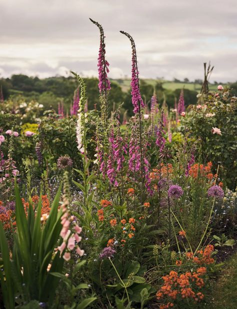 Garden Arbour, Cottage Garden Borders, British Garden, Garden Stand, Planting Plan, Cottage Garden Plants, Jasper Conran, English Country Gardens, Quiet Corner