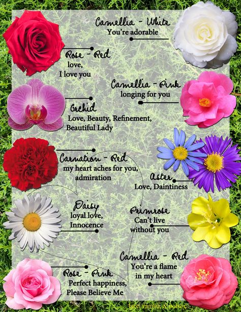 Meanings of Flowers Small Wave Tattoo, Flower Chart, Flower Symbol, Flower Meanings, Color Meanings, Waves Tattoo, Flower Names, Trendy Flowers, Language Of Flowers