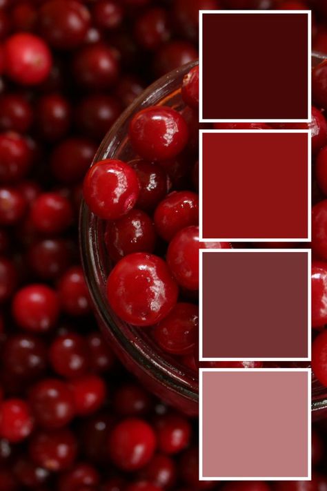 Cranberry Color Palette, Fruit Color Palette, 2022 Color Palette, Color Palette Logo, Palette Logo, Logo Color Palette, Fall Fruit, Color Palette Inspiration, Diy Hair Accessories Ribbon