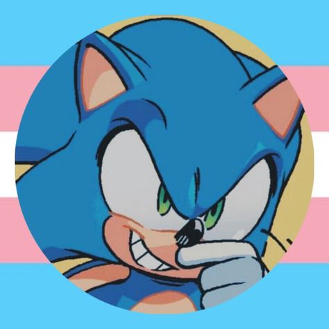 Trans Sonic, Trans Pfp, Silly Icons, Pride Icons, Cat Crying, Japanese Poster Design, Gay Flag, Sonic 3, Japanese Poster