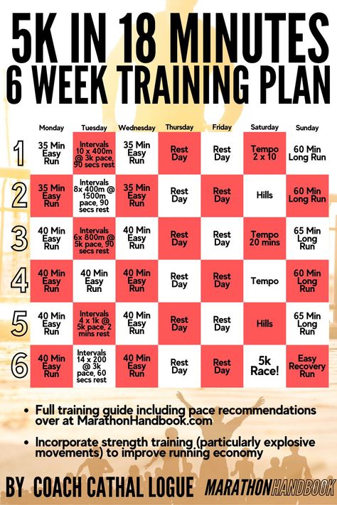 10km Training Plan, 5k Running Tips, 5k Running Plan, 10k Training Plan, 10k Training, 5k Training Plan, Fitness Goal Setting, Fitness Training Plan, Training For A 10k