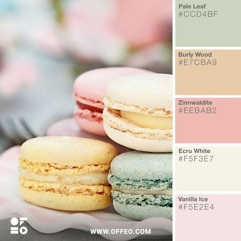 Summer Color Palettes, Cake Branding, Pastel Color Schemes, Raw Color, Light Steel Blue, Pastel Colour Palette, Scenic View, Pastel Palette, Colorful Cakes