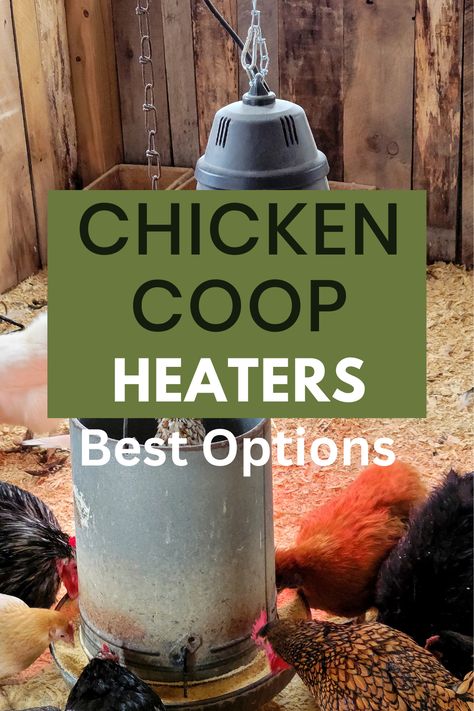 Using heaters in a chicken coop requires careful consideration to maintain the safety and well-being of the chickens. Here are some options for heating a chicken coop: Electric Radiant Heaters Flat Panel Heaters Heat Lamps Etc Small Chicken Coops, Homesteading Diy, Backyard Chicken Farming, Best Chicken Coop, Radiant Heaters, Chicken Coop Designs, Backyard Flocks, Diy Chicken Coop, Heat Lamps