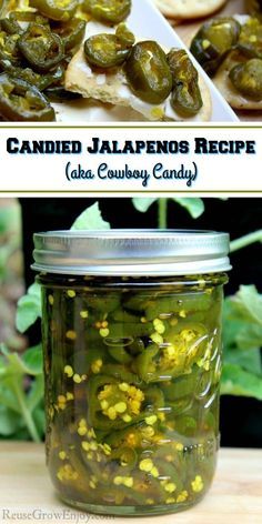 Cowboy Jalapeno Candy Canned, Garden Jalepeno Recipes, Jalapeños Canned, Jalapeno Seasoning, Cowboy Candy Recipe, Preserve Peppers, Cowboy Food, Appetizer Easy, Cowboy Candy