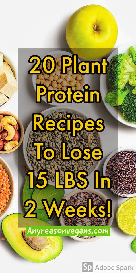 1400 Calorie Plant Based Meal Plan, 130g Protein Meal Plan Vegan, Low Calorie Plant Based Meals, Before Workout Food, Low Calorie Vegan Meals, Vegan Fodmap, Plant Protein Recipes, Roasted Lentils, Before Workout