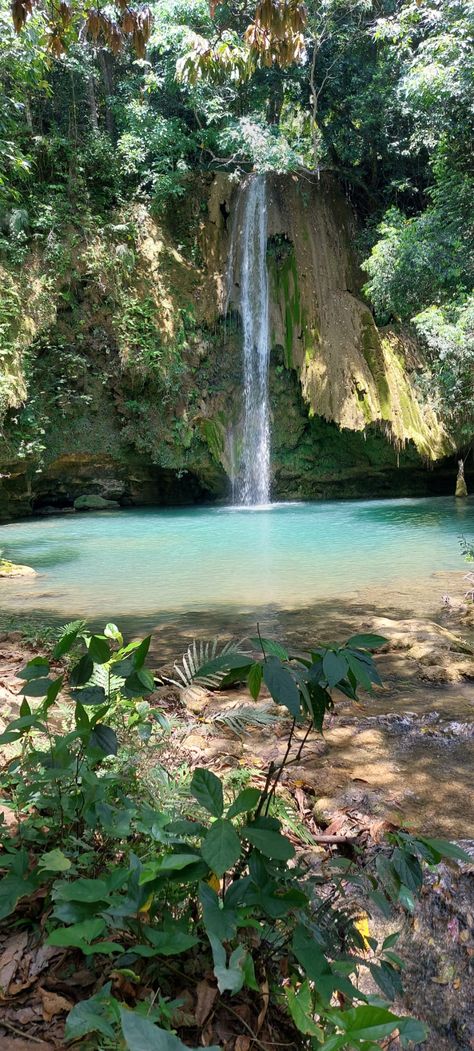 Beautiful waterfall in El Limon Dominican Republic Beautiful Waterfalls, Dominican Republic, Travel Inspiration, Travel