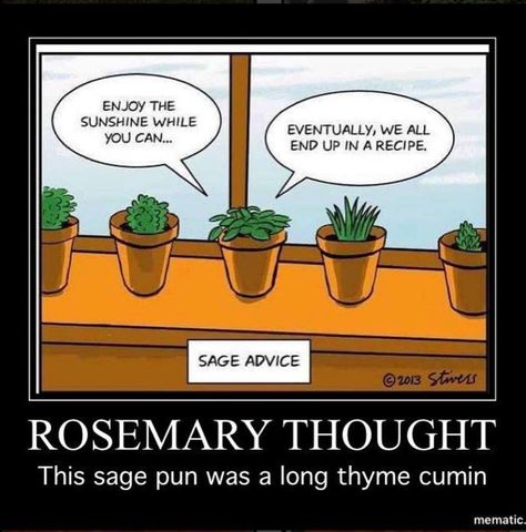 Sage advice: rosemary thought this sage pun was a long thyme cumin. Herb Puns, Plant Funny, Plant Jokes, Single Life Humor, Funny Kids Homework, Wednesday Humor, Kids Homework, Wednesday Quotes, Inspirational Songs