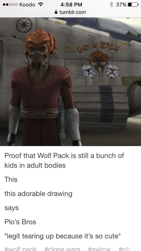 I love Plo. They are kids in adult bodies. Plos Bros Clone Wars, Ashoka And Plo Koon, Clone Wars Wolfe, Clone Wars Plo Koon, Wolf Pack Star Wars, Clone Wars Wolf Pack, Obi Wan Kenobi Leia, Plo Koon Clone Wars, Plo Koon And Ahsoka