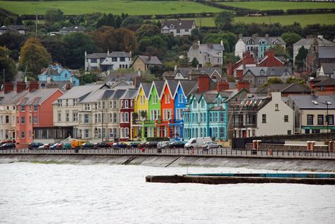 County Antrim, Northern Ireland | Whitehead, County Antrim, Northern Ireland | Could have done ... Northern Ireland, Great Places, The Light, Filter, Horses, Water, Travel, Quick Saves