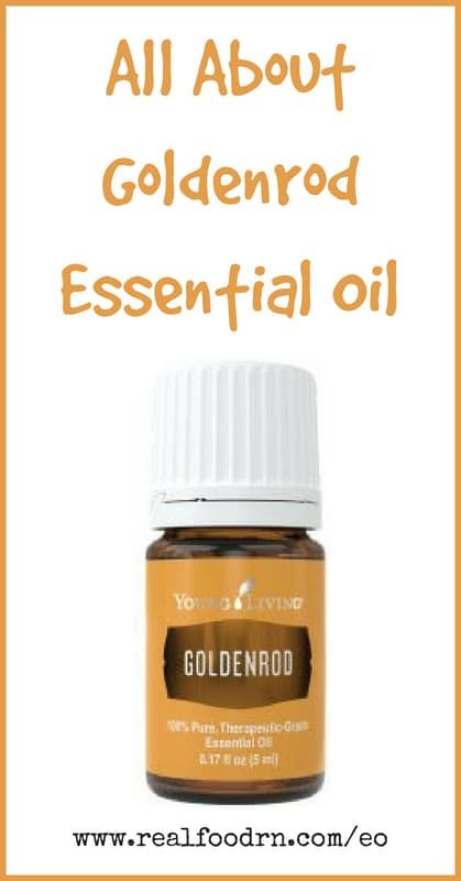 Goldenrod Essential Oil Young Living, Goldenrod Essential Oil, Young Living Essential Oils Recipes, Wild Garden, Yellow Tops, Golden Rod, Scientific Name, Living Essentials Oils, Essential Oil Recipes